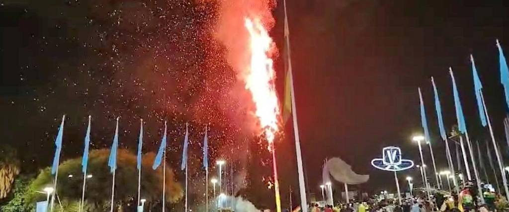 El pino ardió desde la parte alta
