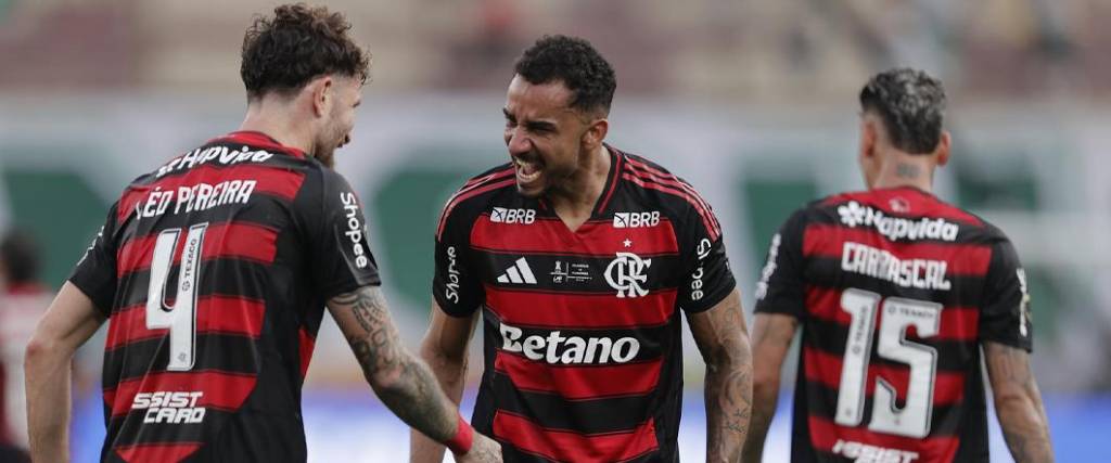 El equipo de Río de Janeiro logró la cuarta Copa Libertadores de su historia tras vencer por 1-0 a Palmeiras.