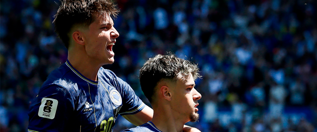 La selección de Bosnia y Herzegovina logró una victoria por 3-1 para clasificar a dieciseisavos de final.