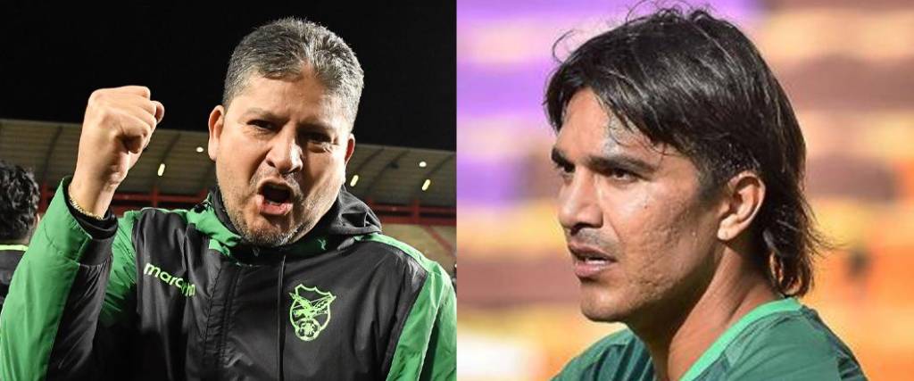 El técnico de la selección boliviana descartó un posible retorno inmediato de Marcelo Martins a la Verde.