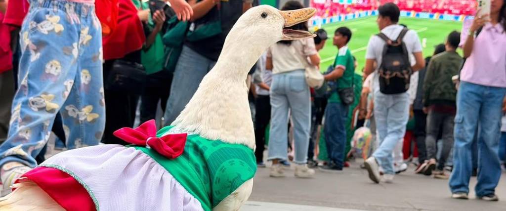 Juanita, otra patita mundialista que apoya a la selección de México