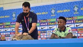 Tras decepcionante debut de Brasil recuerdan la “maldición del gato” de Qatar 2022