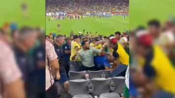 Video: El brutal golpe de un hincha ecuatoriano a fanático de México en la Copa América