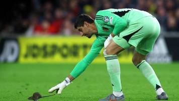 Video: Una rata interrumpió el partido entre las selecciones de Gales y Bélgica 