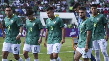La Verde pedirá a FIFA reforzar la seguridad ante incidentes en México