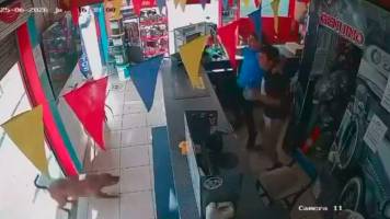 Momento divertido: hasta un perro celebró la victoria de Ecuador ante Alemania